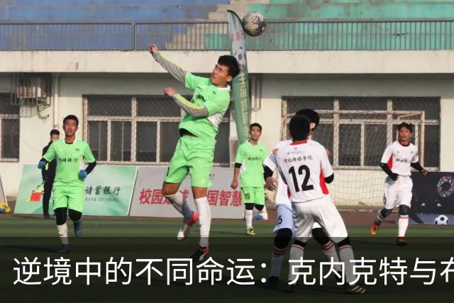 逆境中的不同命运：克内克特与布朗尼的NBA故事